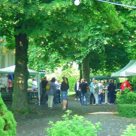 Weinstock Linz am Rhein